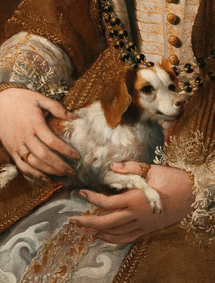 Poster and Paw